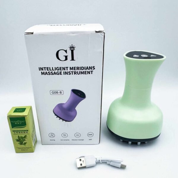 Smart Home Guasha Massager Device Electronic Meridian Brush Micro-Electric Heating Health Scraping Dredge Blood Circulation