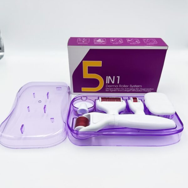 Portable Five-in-One Interchangeable Head Manual Microneedle Roller Set Facial Massager for Home Beauty Tools
