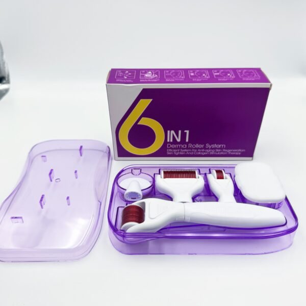 Customization Beauty Roller Set 6 in 1 Kit